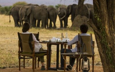 Tanzania Travel Tips