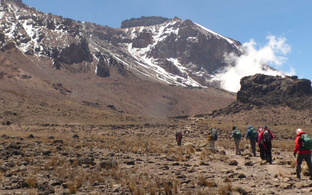 Kilimanjaro Climbing Marangu Route 3 Days,