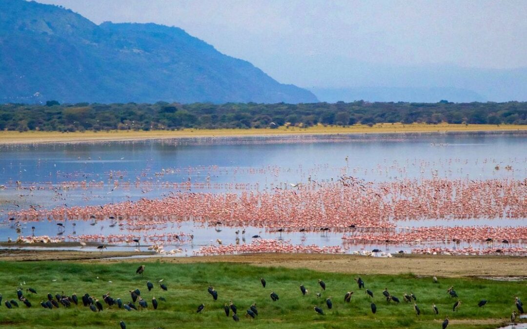 4 Day Lake Manyara, Serengeti and Ngorongoro