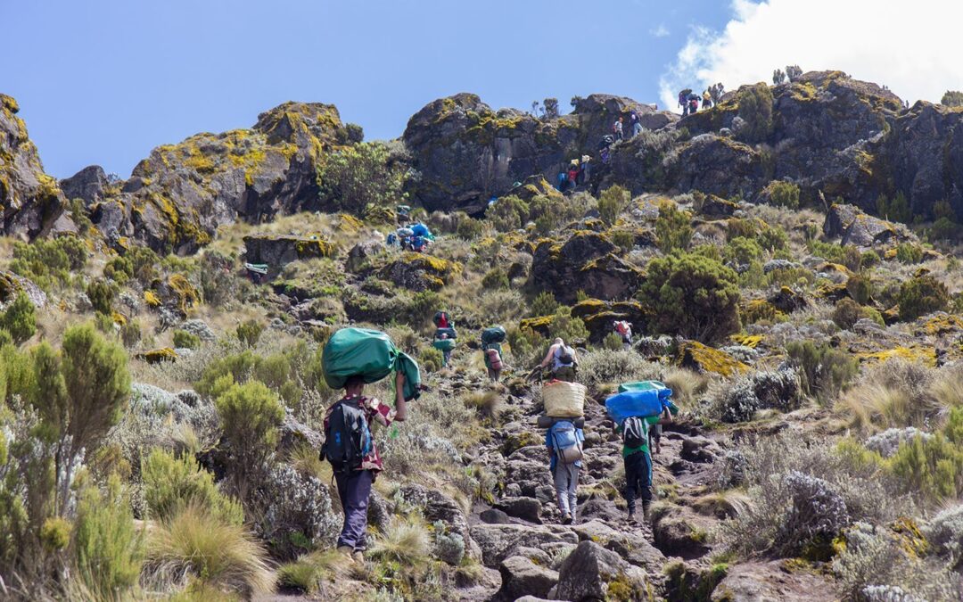 Kilimanjaro successfull Trekking Tips