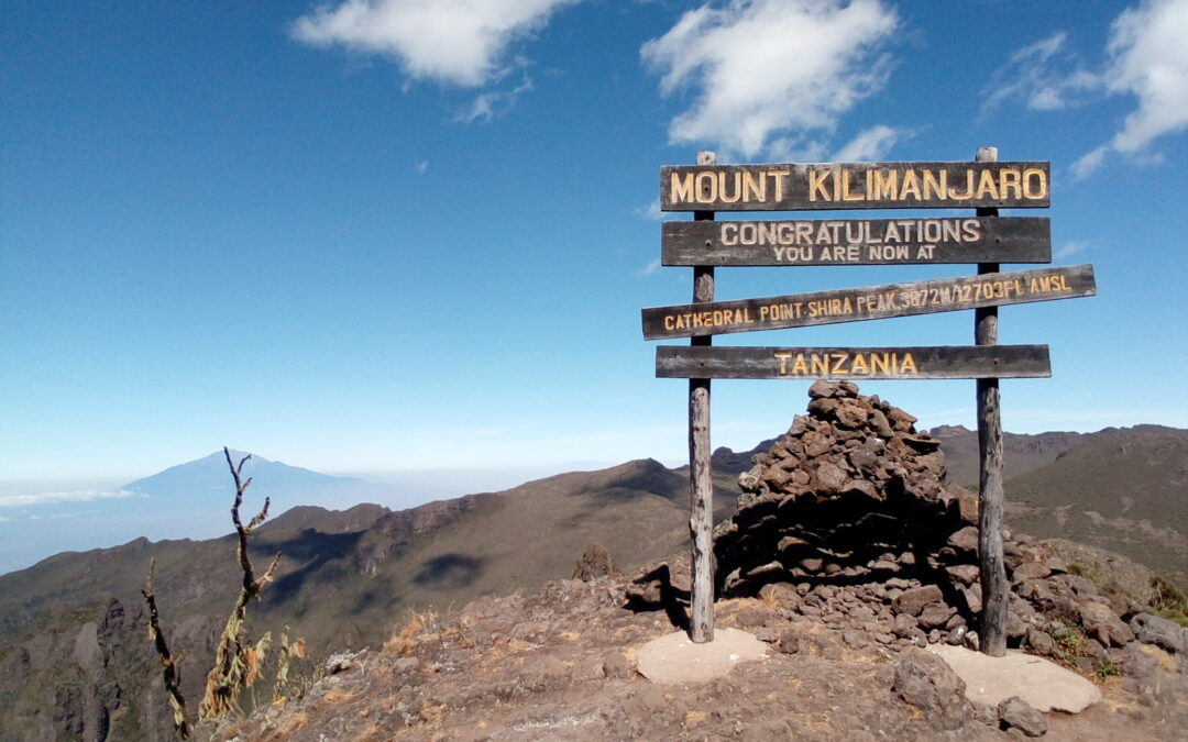 Kilimanjaro Day Trip via Lemosho Route to Cathedral Point