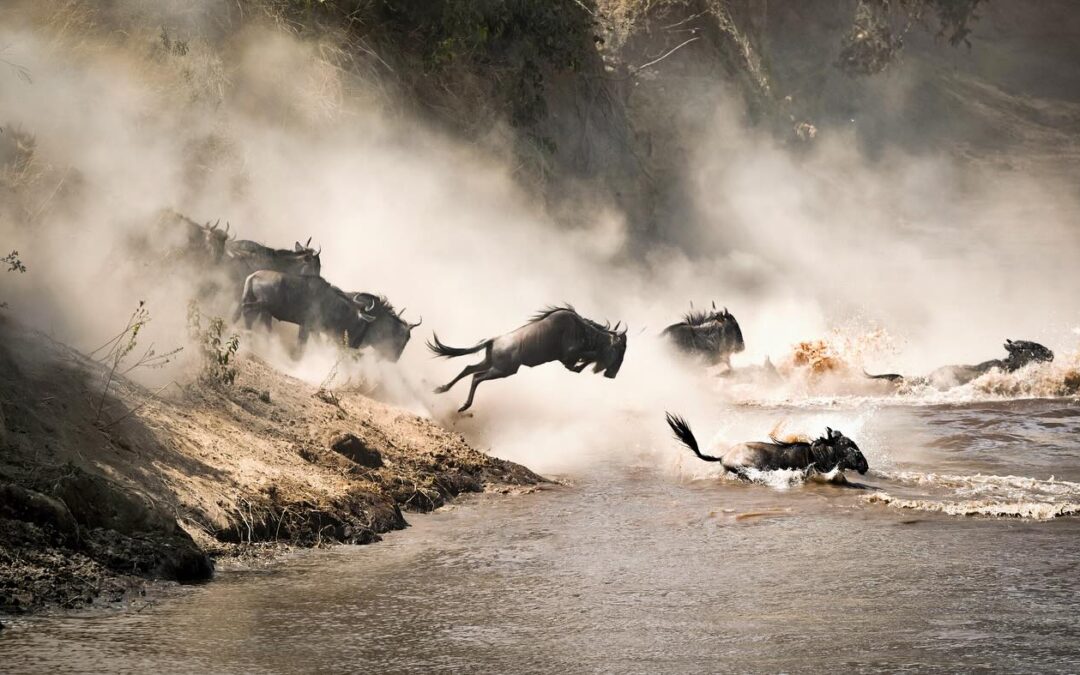 4-Day Migration Fly-in Kogatende Luxury Safari ( Jun-Sept )