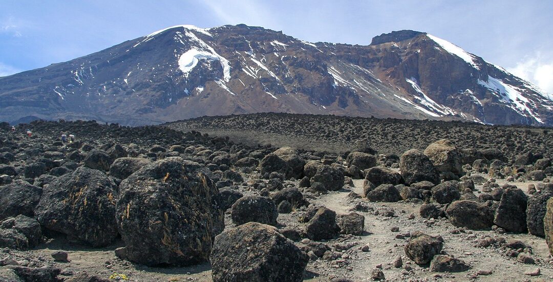 Mount Kilimanjaro Day Trip