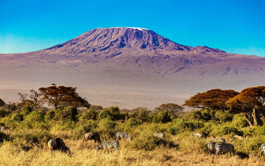 10-Day Tanzania Safari & Kilimanjaro Hiking Adventure (Machame Route)