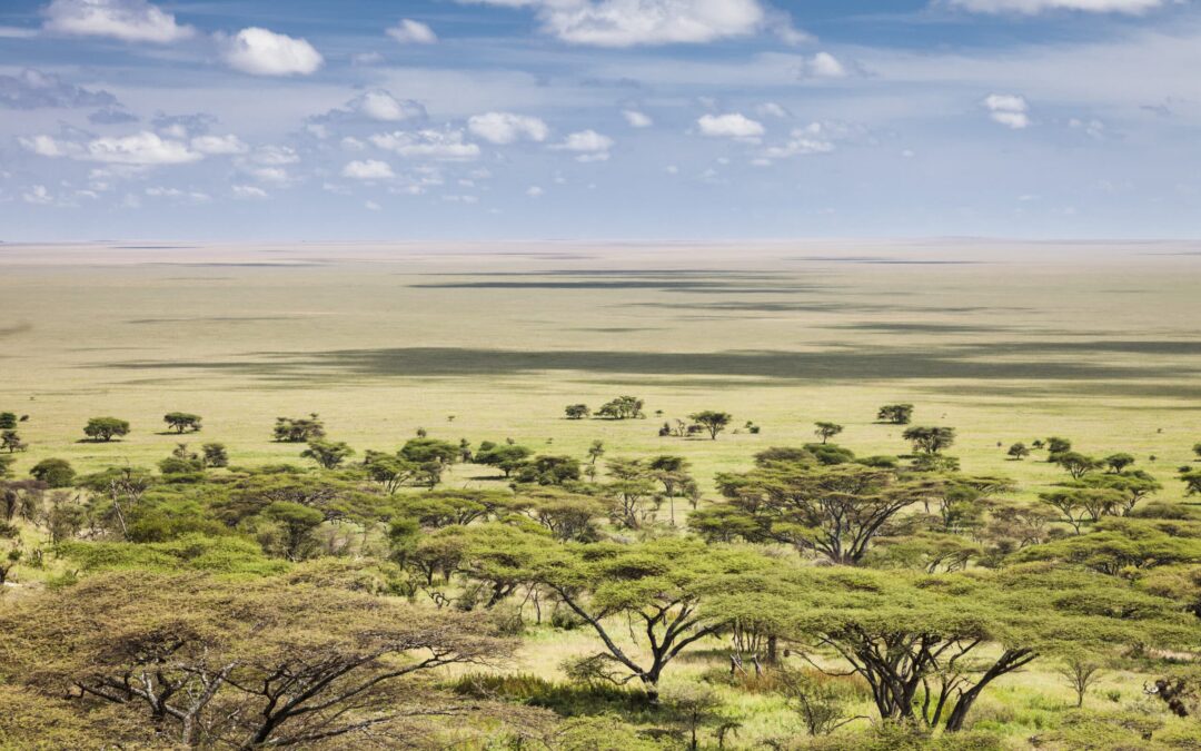 3-Day Fly-in Serengeti Luxury Safari